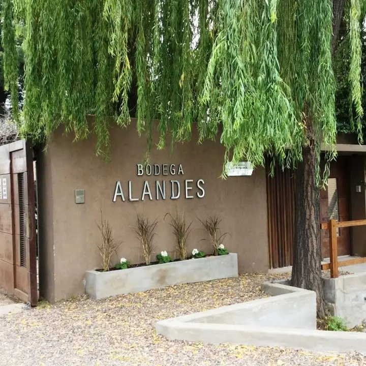 Imagen de presentación de Alandes