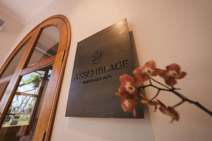 Imagen de presentación de Alta Vista