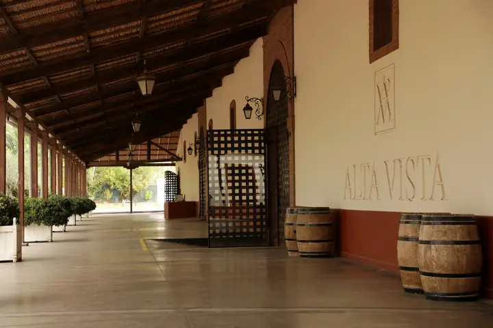 Presentation image of Alta Vista
