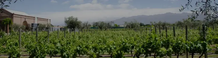 Imagen de presentación de Alta Vista