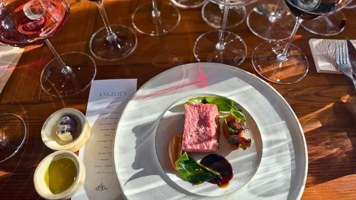 Imagen de presentación de Angelica Cocina Maestra