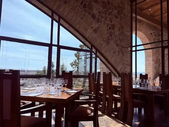 Imagen de presentación de Angelica Cocina Maestra