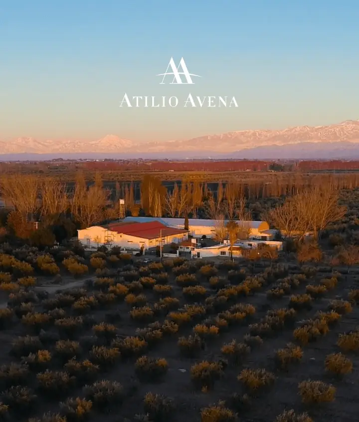 Imagen de presentación de Atilio Avena