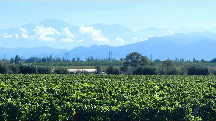 Imagen de presentación de Bodega Florio