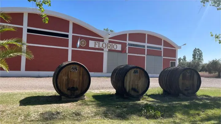 Imagen de presentación de Bodega Florio