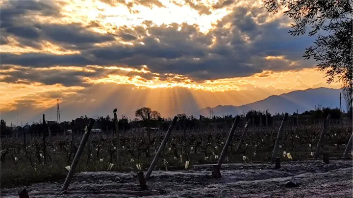 Imagen de presentación de Bodega Florio