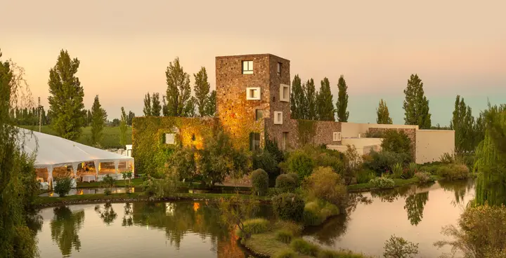 Presentation image of Bodegas y Viñedos Renacer