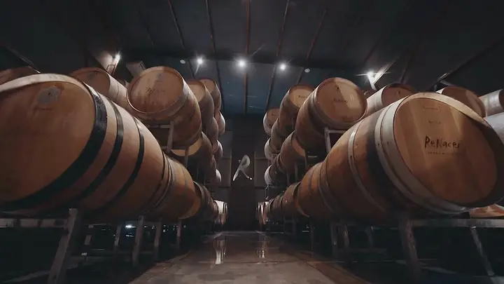 Imagen de presentación de Bodegas y Viñedos Renacer
