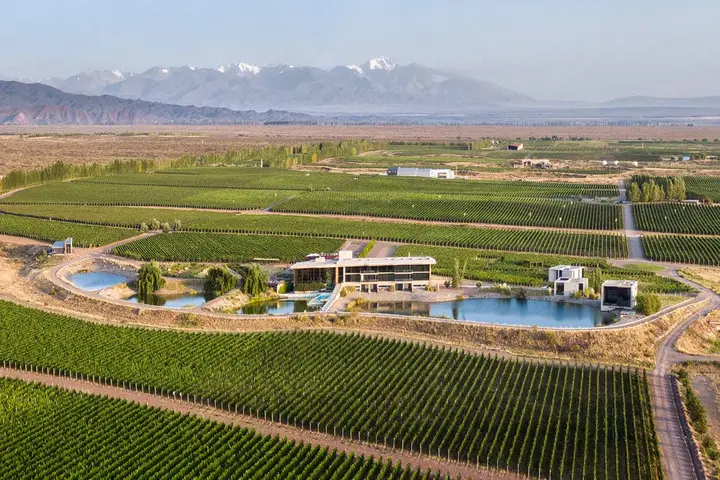 Imagen de presentación de Casa del Vino