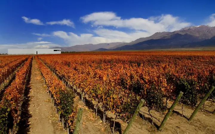 Imagen de presentación de Clos de los 7