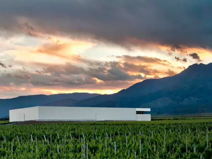 Imagen de presentación de Clos de los 7