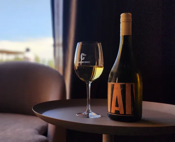 Presentation image of Coloso Wines