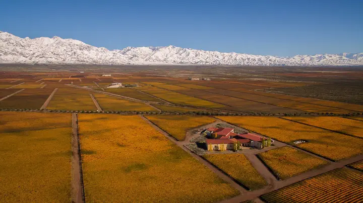Presentation image of Cuvelier de los Andes