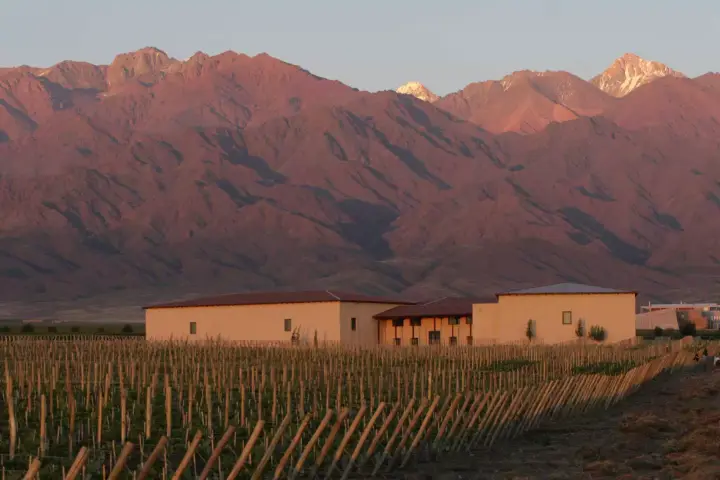 Presentation image of Cuvelier de los Andes