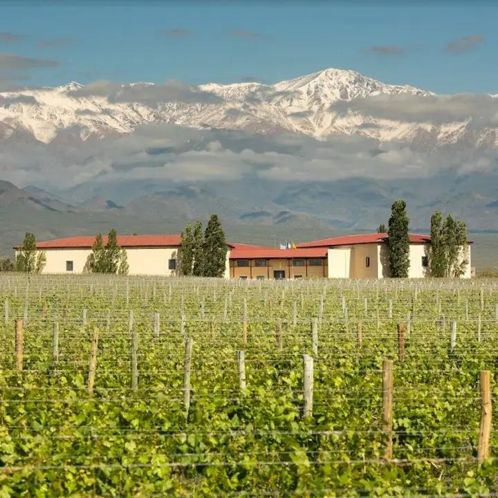 Presentation image of Cuvelier de los Andes