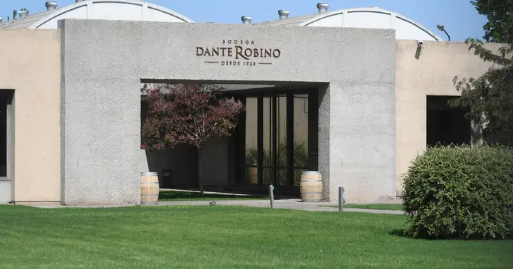 Presentation image of Dante Rubino
