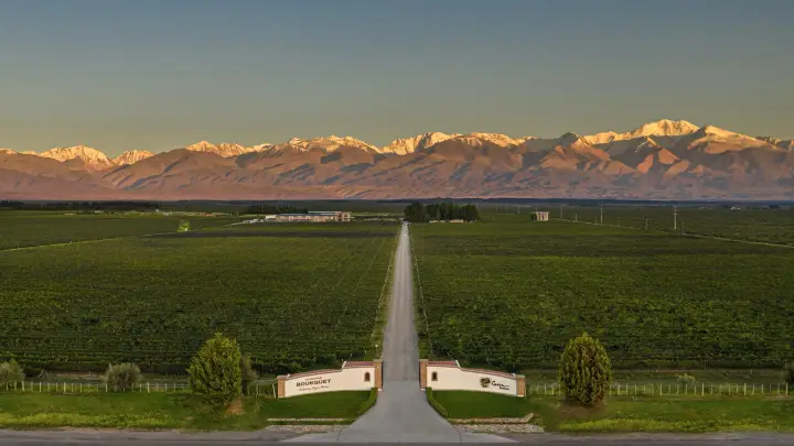 Imagen de presentación de Domaine Bousquet