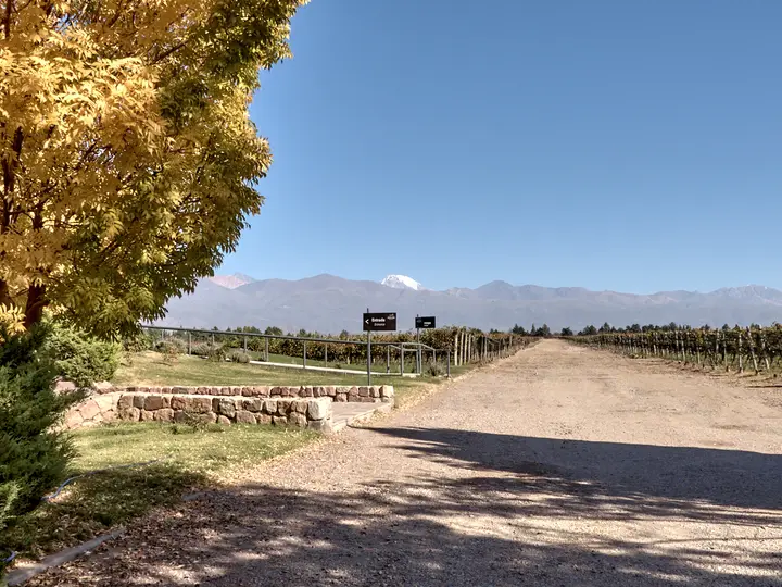 Imagen de presentación de Finca Adelma