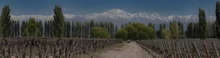 Imagen de presentación de Finca Agostino