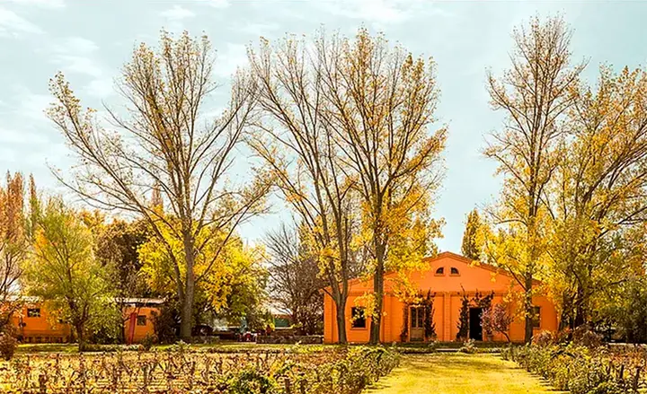 Presentation image of Finca Anita