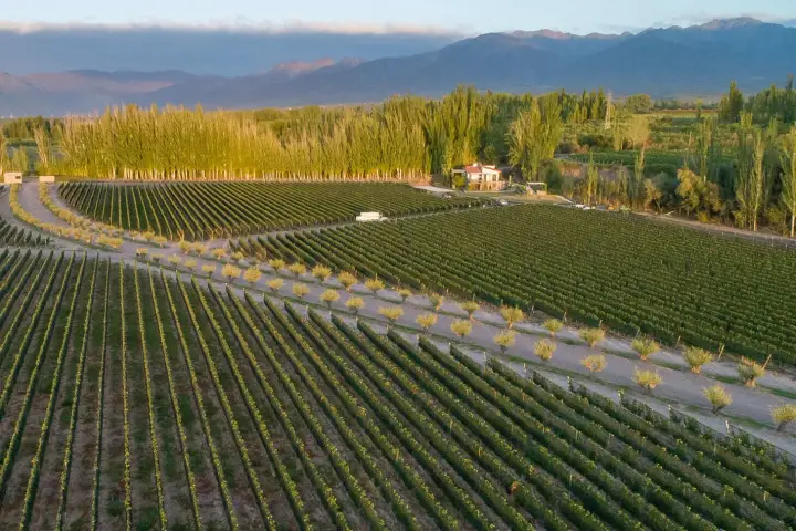 Imagen de presentación de Finca Bandini