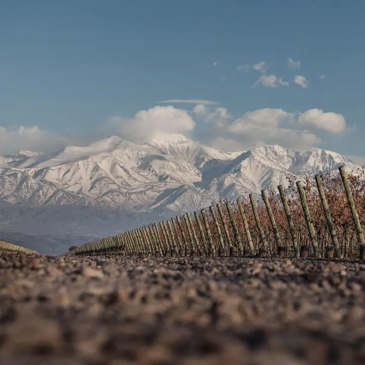 Presentation image of Finca DeCero