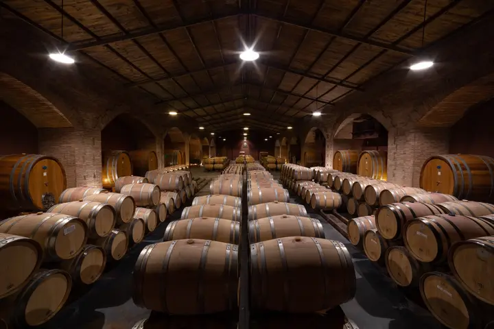 Presentation image of Finca Flichman