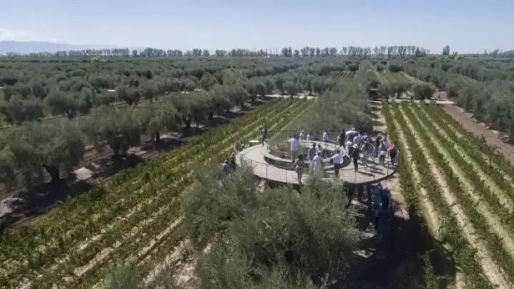 Imagem de apresentação de Finca paraiso
