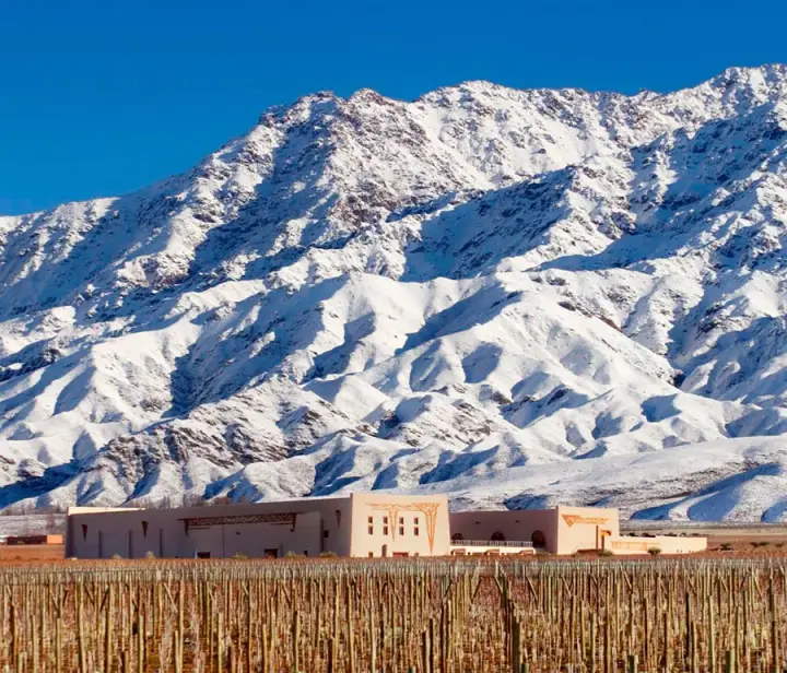Presentation image of Flechas de los Andes