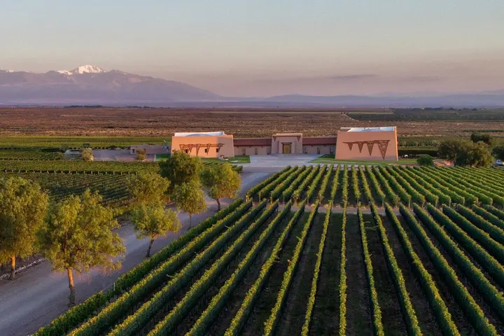 Presentation image of Flechas de los Andes