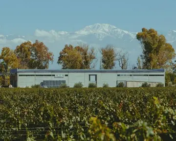 Imagen de presentación de Huarpes Wines