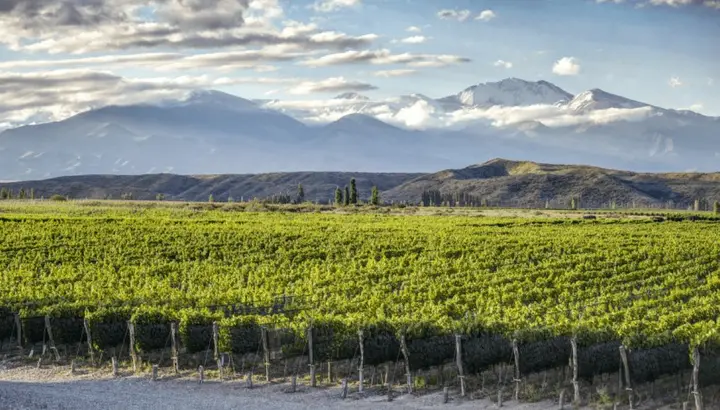 Presentation image of Huentala Wines