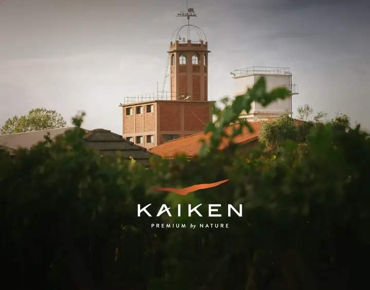 Presentation image of Kaiken