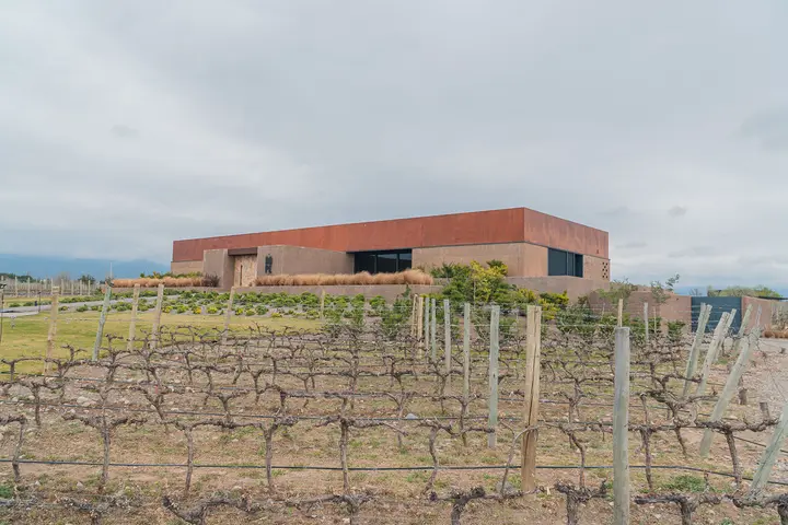 Presentation image of La Vigilia