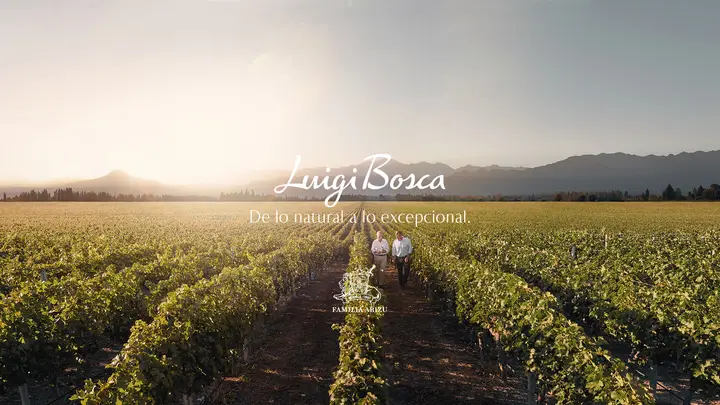 Presentation image of Luigi Bosca