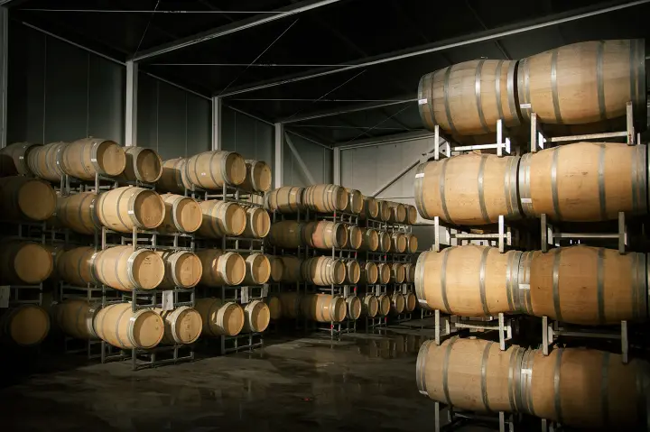 Imagen de presentación de Martino Wines