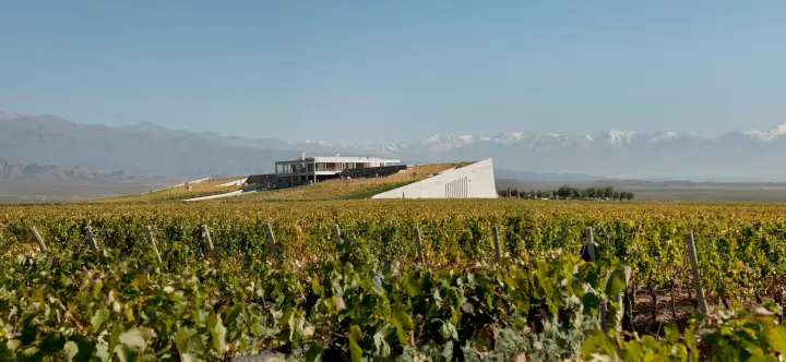 Presentation image of Monteviejo