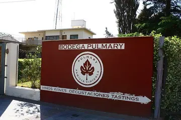 Imagem de apresentação de Pulmary