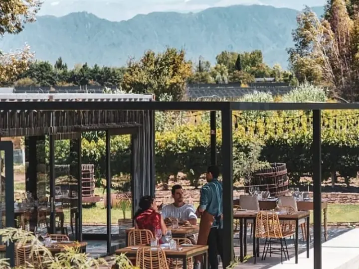 Imagem de apresentação de Riccitelli Wines