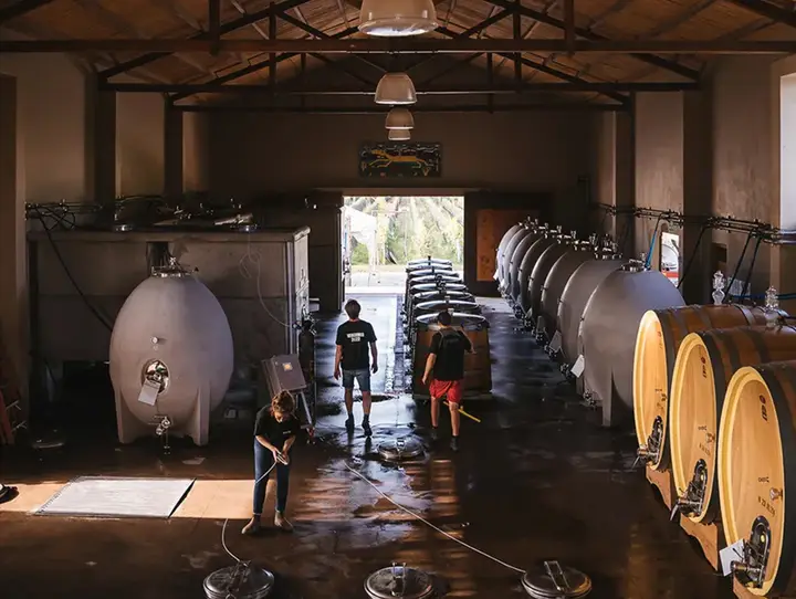 Imagem de apresentação de Riccitelli Wines