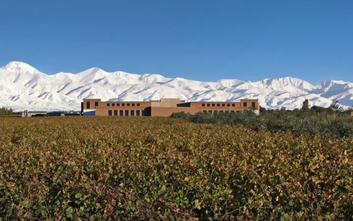 Imagen de presentación de Rutini Wines