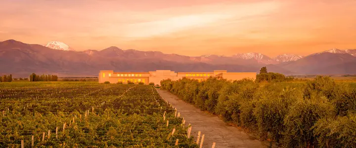 Presentation image of Rutini Wines