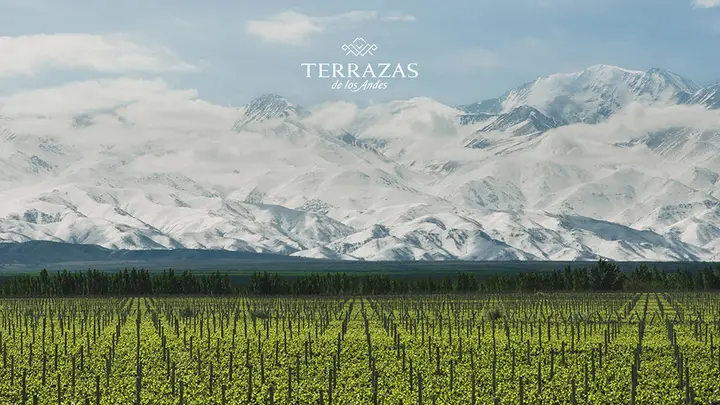 Presentation image of Terraza de Los Andes