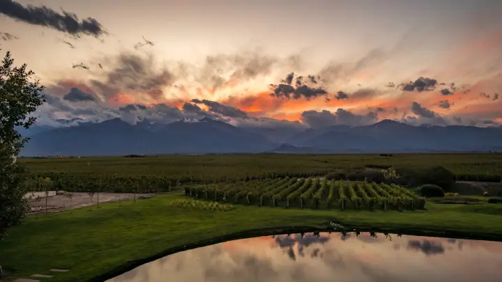 Presentation image of The Vines Resort & Spa