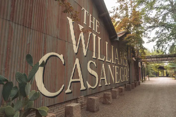 Imagem de apresentação de The Willimas Casanegra
