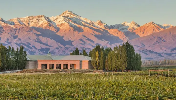 Presentation image of Tupungato Divino