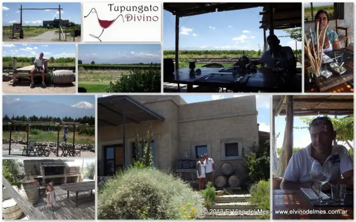 Presentation image of Tupungato Divino